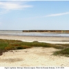 zegr eupheme biotope1 kher